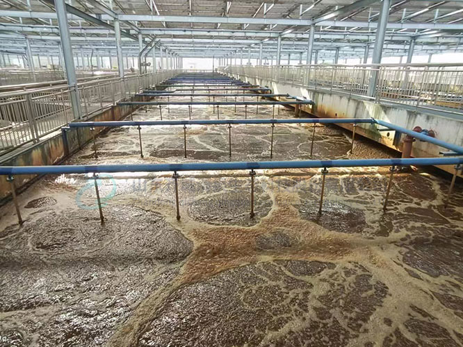 污水處理廠復(fù)合碳源投加案例